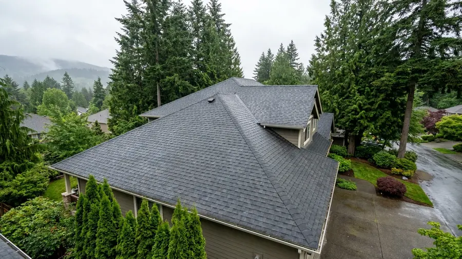 A Washington Homeowner's Guide to Roof Maintenance and Moss Prevention
