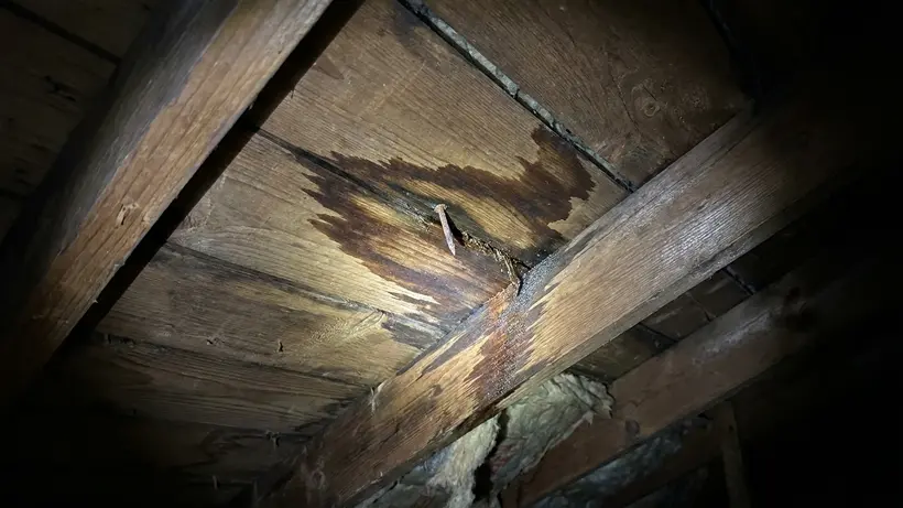 Dark water stains on the underside of wooden attic decking.