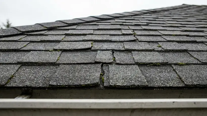 Curling and cracked asphalt shingles on an aging roof.