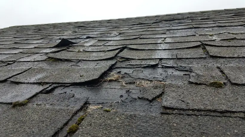 Close-up of damaged, curling asphalt shingles that need to be replaced.