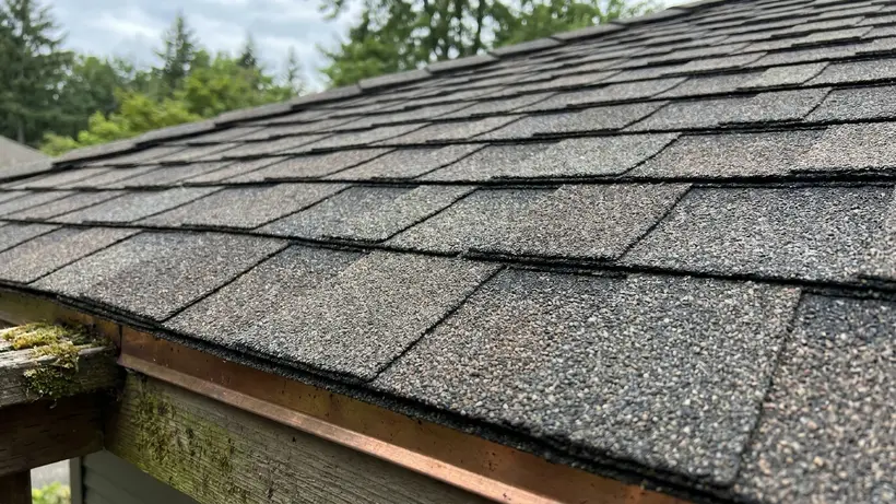 Engineering for the Storm: The GAF Roofing System Advantage