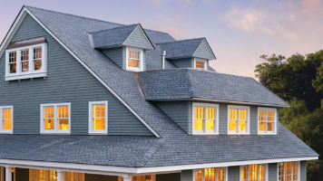 Professional Roofing