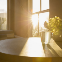 Energy Savings Windows Western Washington